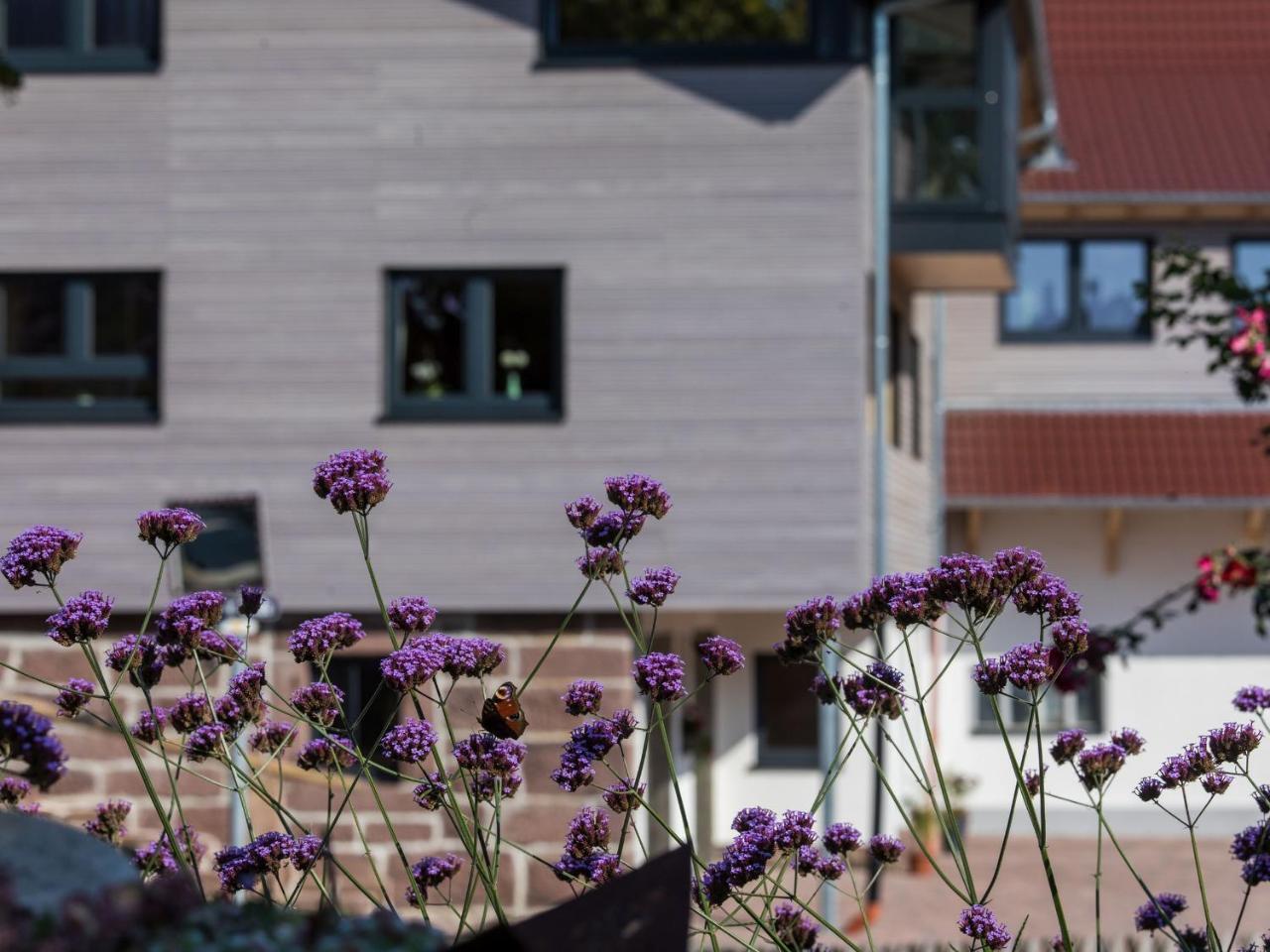 Saunaloft Schwarzwald Gemeinde Aichhalden Exterior foto