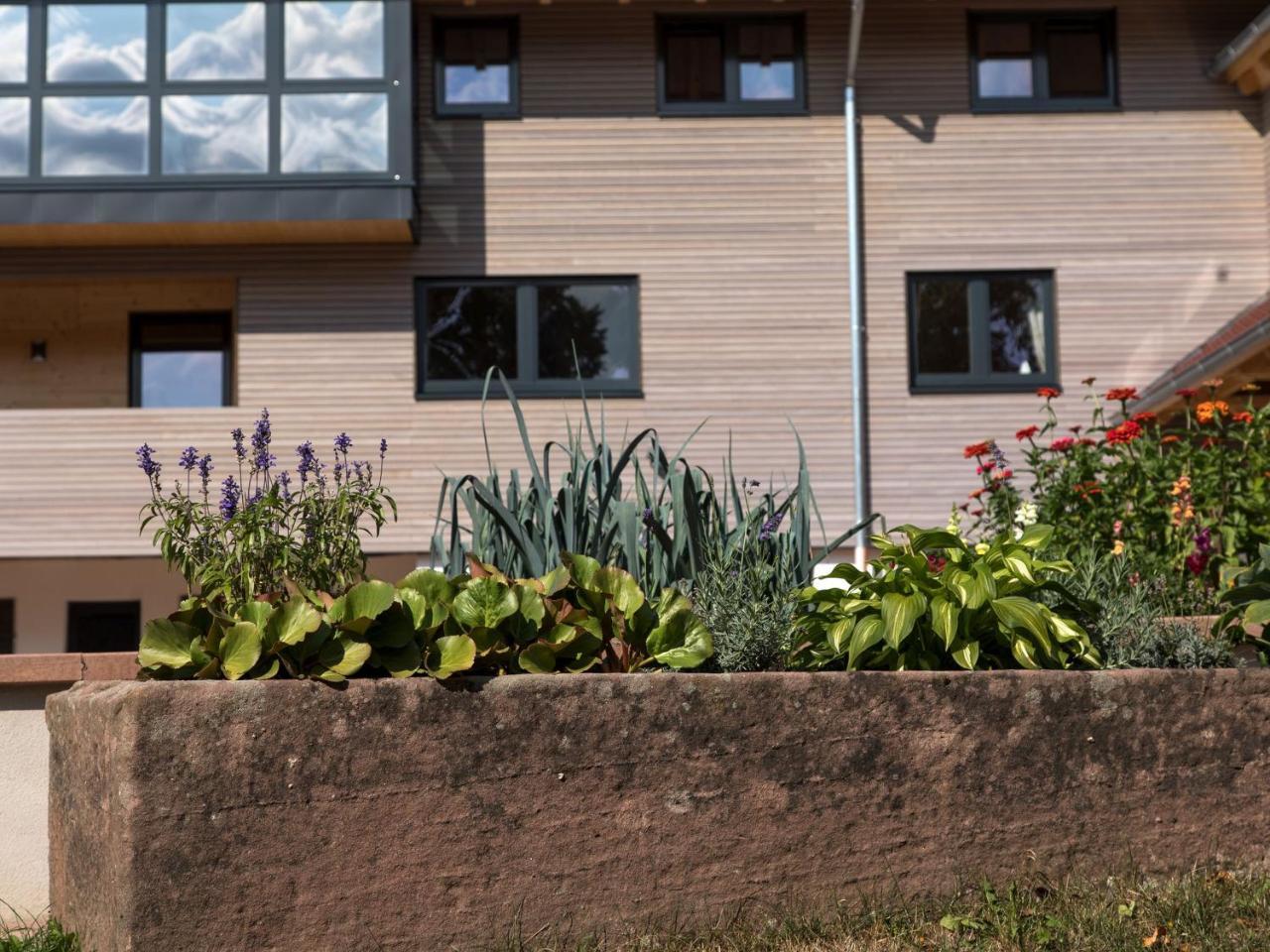 Saunaloft Schwarzwald Gemeinde Aichhalden Exterior foto